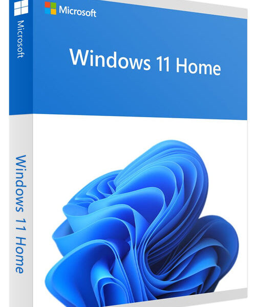 Windows 11 Home OEM Key