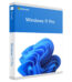 Windows 11 Professional Retail Key